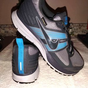 Nike Air Pegasus 29 GTX